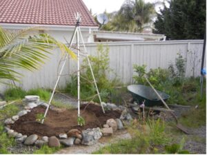 backyard garden