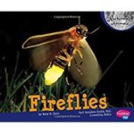 Fireflies