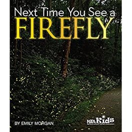 Next time you see a firefly