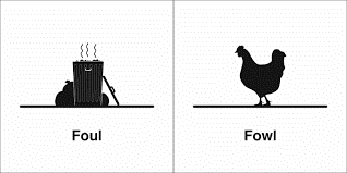 Foul vs fowl