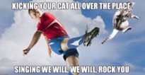 kicking your cat