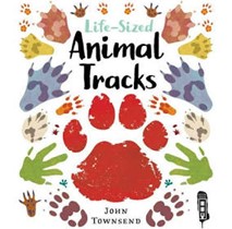 animal tracks