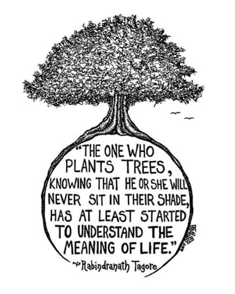 tree quote