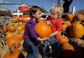 kids and pumpkins