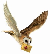 hp owl