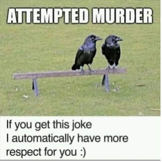 attempted murder