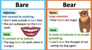 bare vs bear