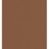 Construction Paper, Brown, 9" x 12", 100 Sheets