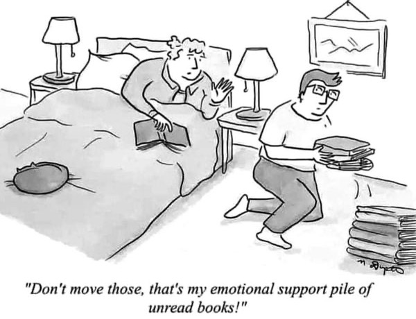 emotional support