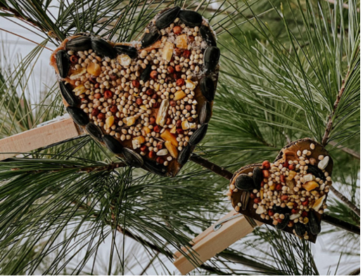 birdseed heart craft 2