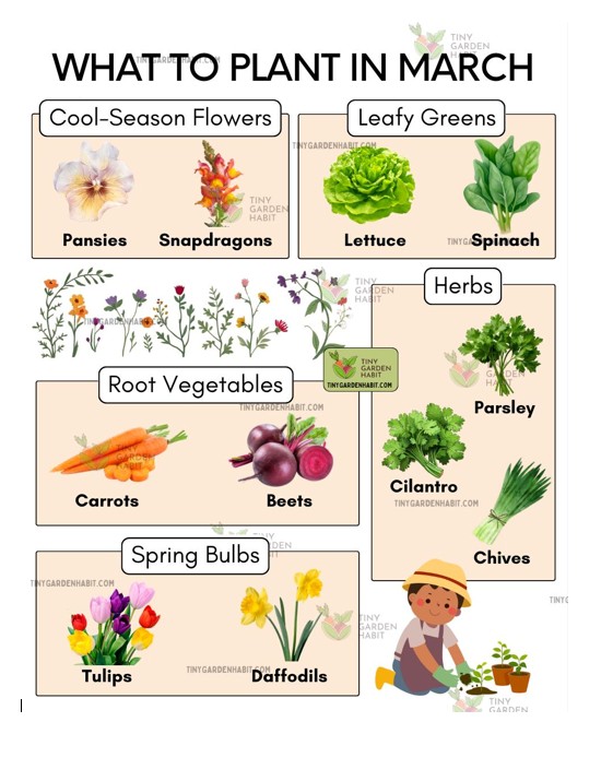 what to plant in march