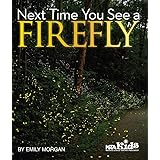 The Next Time You See a Firefly