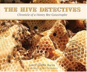 hive detectors