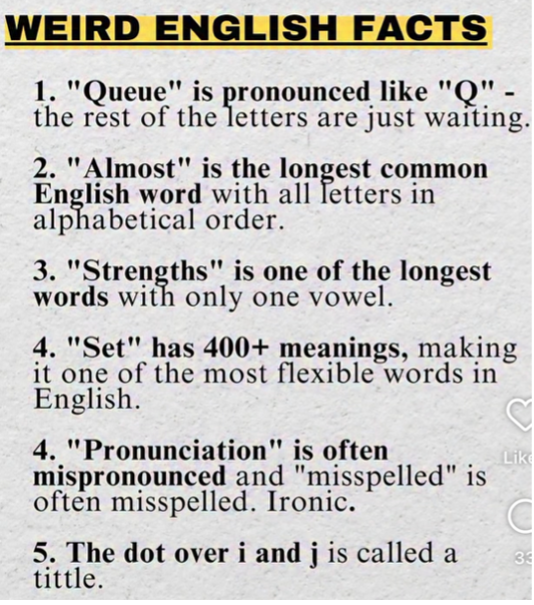 weird english facts