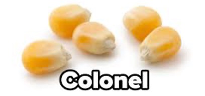colonel