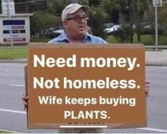 wife keeps buying plants