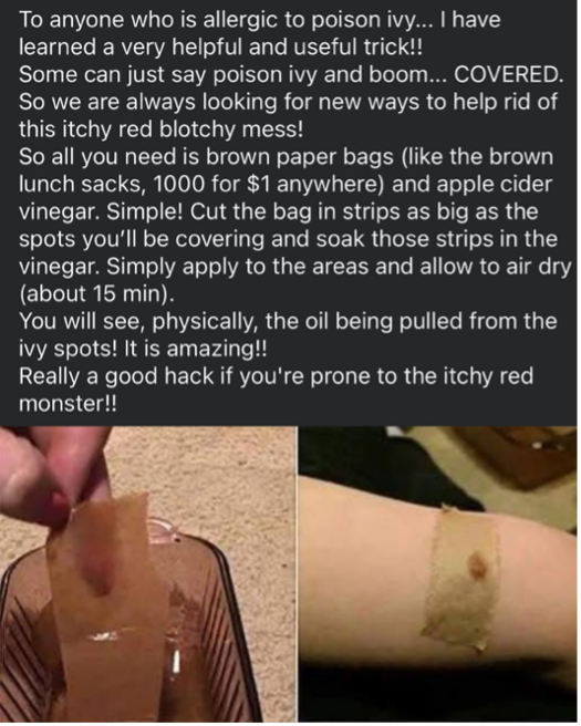 bags and vinegar