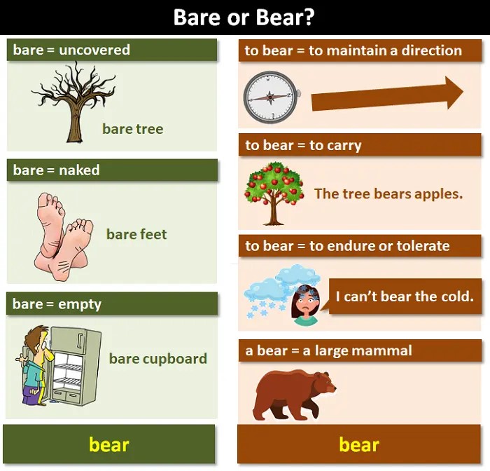 Bare or Bear