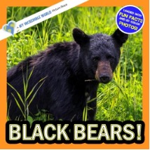 Fun Facts about Black Bears