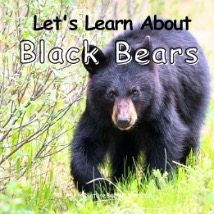 Learn about Black Bears