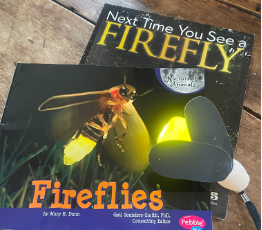 fireflies