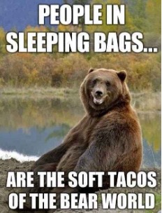 people in sleeping bags