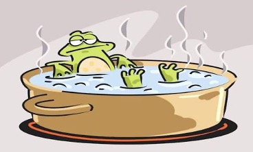 frog in hot water